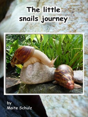 cover image of The little snails journey